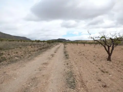 Finca rústica en Jumilla